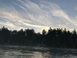Morning on the Kenai River 4