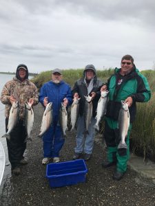 Limit of Silver Salmon