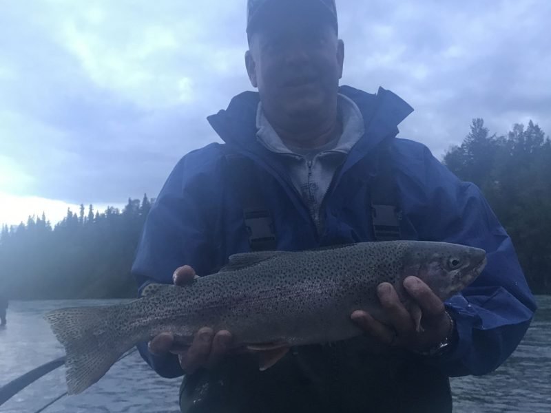 Rainbow Trout